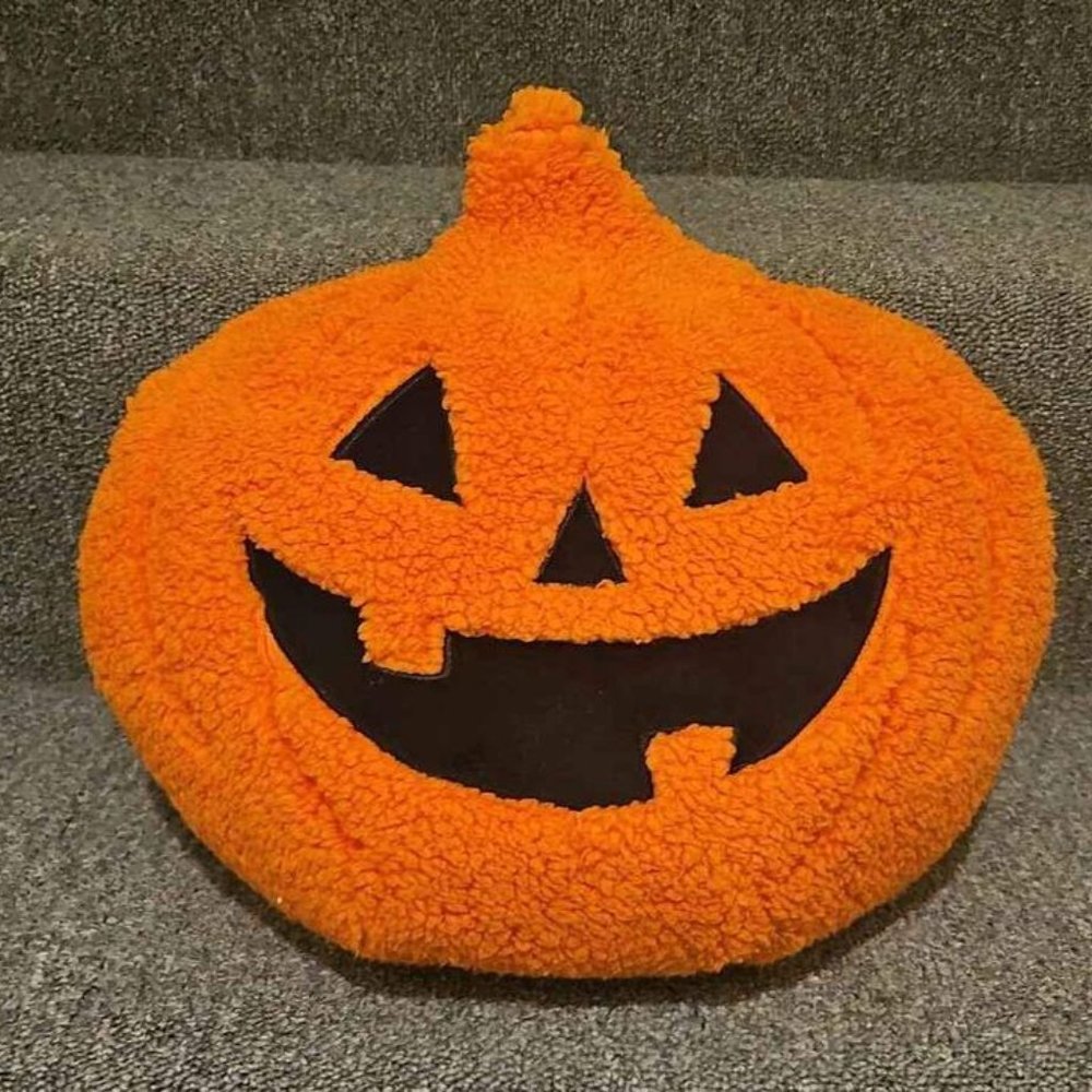 Brand New W/ Tags Target Hyde and EEK Pumpkin Sherpa Throw Pillow